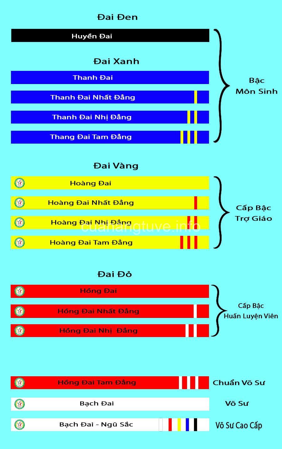 Cấp Bậc Võ Thuật Việt Nam: Hệ Thống & Ý Nghĩa